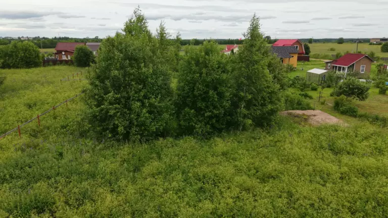 Участок 245 в Орлино (центральная часть)
