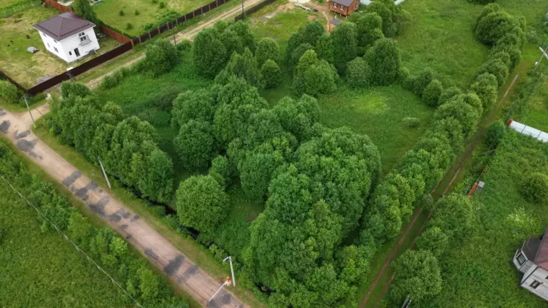 Участок 623 в Орлино (у леса)