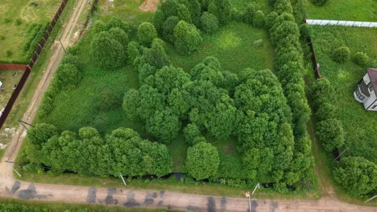 Участок 626 в Орлино (у леса)