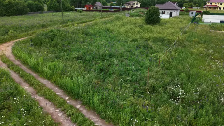 Участок 823 в Орлино (центральная часть)